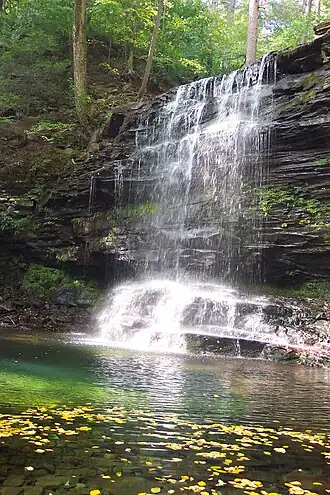Falls