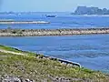 Rhine with groynes near Tolkamer