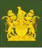 Warrant Officer Class 1