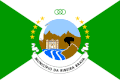 Flag of Ribeira Brava