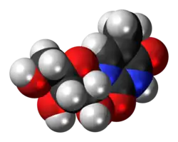 Space-filling model of the 5-methyluridine molecule