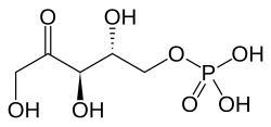 2D representation of the chemical structure of Ribulose 5-phosphate .