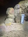 Oddly colored rimstone with scale
