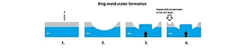 Ring-mold craters form when an impact goes through to an ice layer. The rebound forms the ring-mold shape, and then dust and debris settle on the top to insulate the ice.