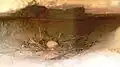 Nest with egg
