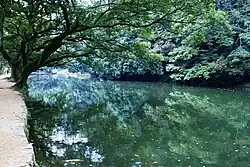 Sai-ko