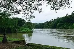 Manimala River