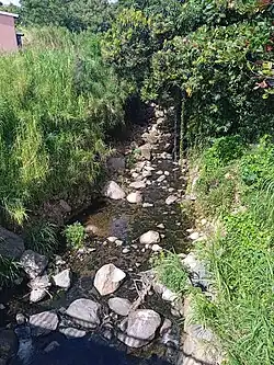 creek with stones inside flowing through a forest