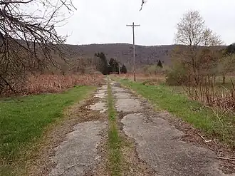 This image shows the decaying roadway and utility poles without wires leading to the hamlet of Rock Rift which was seized for the construction of the Cannonsville Reservoir