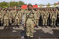 Malaysian Army recruits performing foot drills during boot camp. They are seen wearing the Malaysian Tropical Digital camouflage combat uniform, along with FAST helmets, M4 carbines, and battle harnesses. The Tropical Digital camouflage has been the main pattern used by the Malaysian Army since 2013.