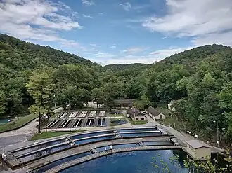 Hatchery