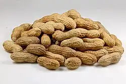 Roasted peanuts with shell