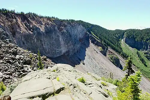 A vertical rocky cliff with a steep-sided rubble deposit at the base