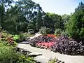 Rock Gardens