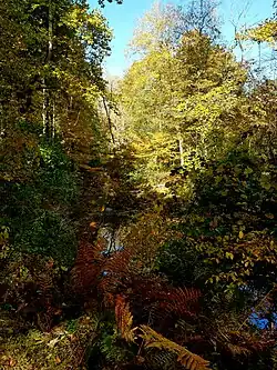 Rockefeller State Park Preserve