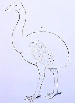 Simple drawing
