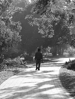 Walkway