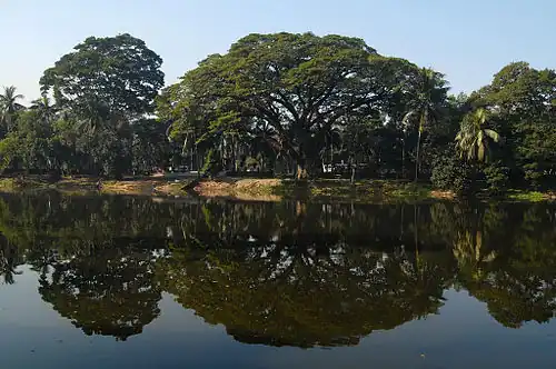 Ramna Lake shoreline