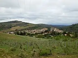 A general view of Roquetaillade