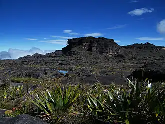 A dark-blue rock