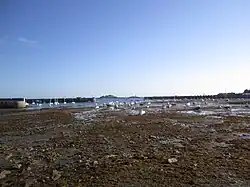 Roscoff Harbour at low tide