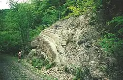 Anticline in Wills Creek or Bloomsburg Formation at Roundtop Hill, Maryland
