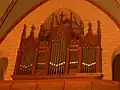 The organ
