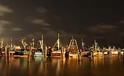 Royapuram fishing harbour
