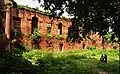 Ruined parts of the fort.