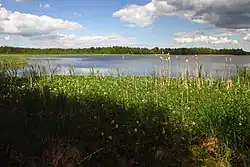 Lake Hub