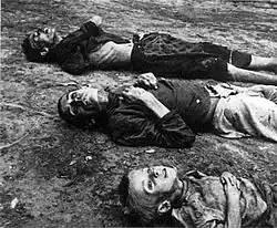 Image 45The Russian famine of 1921–22 killed an estimated 5 million people. (from History of the Soviet Union)