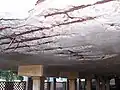 Effects of too little cover – poor concrete.