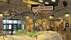 Ruth the Gorgosaurus