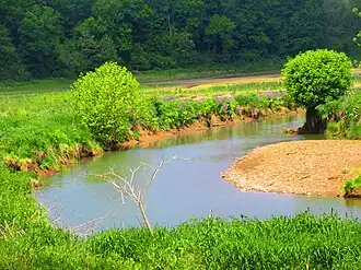 Creek
