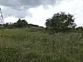 Ryhall Pasture