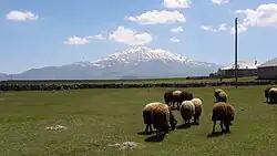 Mt. Süphan