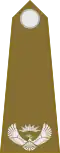 Major (South African Army)[81]