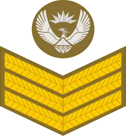 Staff sergeant (South African Army)[48]