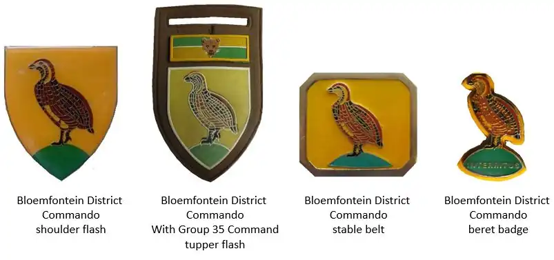 SADF era Bloemfontein District Commando insignia