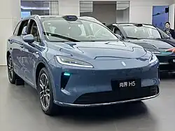 SAIC H5