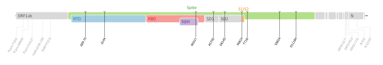 Amino acid mutations of SARS-CoV-2 Alpha variant plotted on a genome map of SARS-CoV-2 with a focus on Spike.[21]