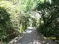 Walkway toward City Zoo – during quarry operations, it was used as a cart path.