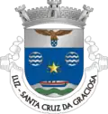 Coat of arms of Luz