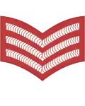 Sergeant (SKN Regiment)[102]