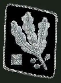 Gorget patch until April 1942 (Allgemeine SS and Waffen-SS)