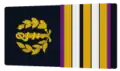 Chief Dental Surgeon