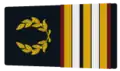 Chief Veterinary Surgeon