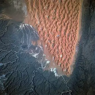 Dune fields in Algeria.