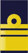 Vice admiral