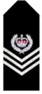 South Australia Police